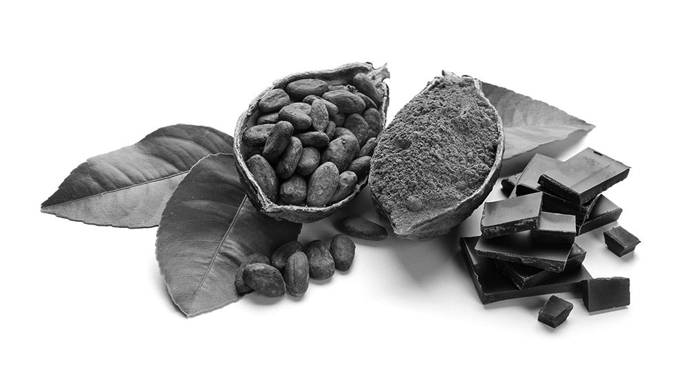 Healthy cocoa products on white background sourced by The Greater Goods Food Consultants